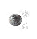 魔法の石スタンプ✨（個別スタンプ：8）