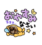 ヨーキーのぶんちゃん（個別スタンプ：7）