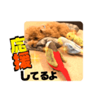 ととは スタンプ（個別スタンプ：4）