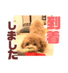 ととは スタンプ（個別スタンプ：5）
