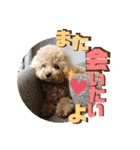 ととは スタンプ（個別スタンプ：7）