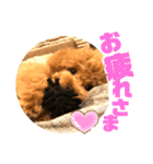 ととは スタンプ（個別スタンプ：8）
