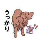 【大型犬】アイリッシュセター（個別スタンプ：30）