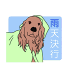 【大型犬】アイリッシュセター（個別スタンプ：38）