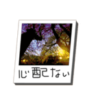 大切なあなたへの言葉（個別スタンプ：16）