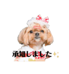 ゆずゆずスタンプ003（個別スタンプ：13）