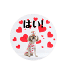 ゆずゆずスタンプ003（個別スタンプ：24）