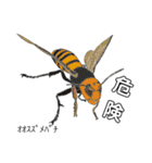 ミツバチと生き物いろいろvol.10（個別スタンプ：4）