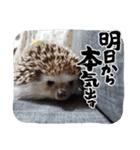 もずくだらけ2（個別スタンプ：1）