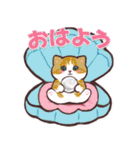 猫の夏休みスタンプ（個別スタンプ：1）