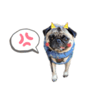 パグすたんぷ2（個別スタンプ：11）