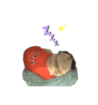 パグすたんぷ2（個別スタンプ：19）