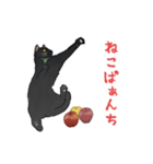 くろねことりんご（個別スタンプ：17）