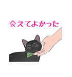 くろねことりんご（個別スタンプ：36）