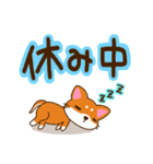 柴犬そらこ【挨拶】でか文字（個別スタンプ：22）