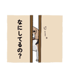 ビーグル1（個別スタンプ：7）