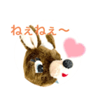 コジカちゃんスタンプ（個別スタンプ：11）