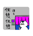 ドヤサ猫（個別スタンプ：16）