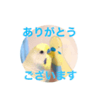 Ico  ＆ ヴェル（個別スタンプ：2）