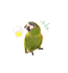 Ico  ＆ ヴェル（個別スタンプ：12）