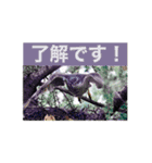 Ico  ＆ ヴェル（個別スタンプ：14）