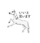 3Dの動く白馬くん（個別スタンプ：8）