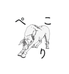 3Dの動く白馬くん（個別スタンプ：13）