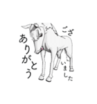 3Dの動く白馬くん（個別スタンプ：14）