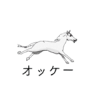 3Dの動く白馬くん（個別スタンプ：15）