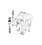 3Dの動く白馬くん（個別スタンプ：21）