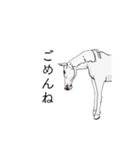 3Dの動く白馬くん（個別スタンプ：24）