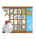 こけまろブラザーズ4（個別スタンプ：11）