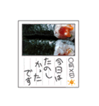 全部まとめました！！（個別スタンプ：3）