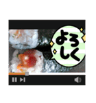 全部まとめました！！（個別スタンプ：13）