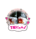 全部まとめました！！（個別スタンプ：21）