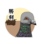 ベランダを狙う鳩（個別スタンプ：8）