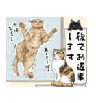 猫にまみれたがりのスタンプ2（個別スタンプ：11）