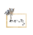 シルク、LINEにそいっ♪と登場。（個別スタンプ：11）
