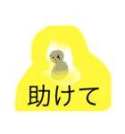 私はひよこ。無力です…。。（個別スタンプ：3）