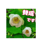 牧野公園の山野草と ご挨拶（個別スタンプ：40）