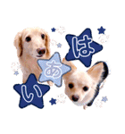 sora***（個別スタンプ：5）