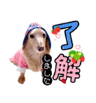 sora***（個別スタンプ：6）