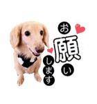 sora***（個別スタンプ：7）