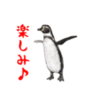 動く！シカと動物園の仲間たち（個別スタンプ：14）