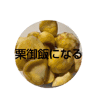 ごはん提案 4（個別スタンプ：17）