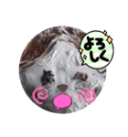 一生懸命作りました！（個別スタンプ：3）