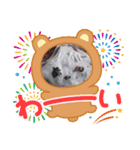一生懸命作りました！（個別スタンプ：4）