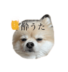 ふわふわのおともだちさんから（個別スタンプ：1）