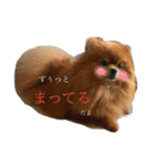 ふわふわのおともだちさんから（個別スタンプ：2）