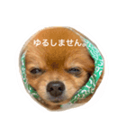 ふわふわのおともだちさんから（個別スタンプ：3）